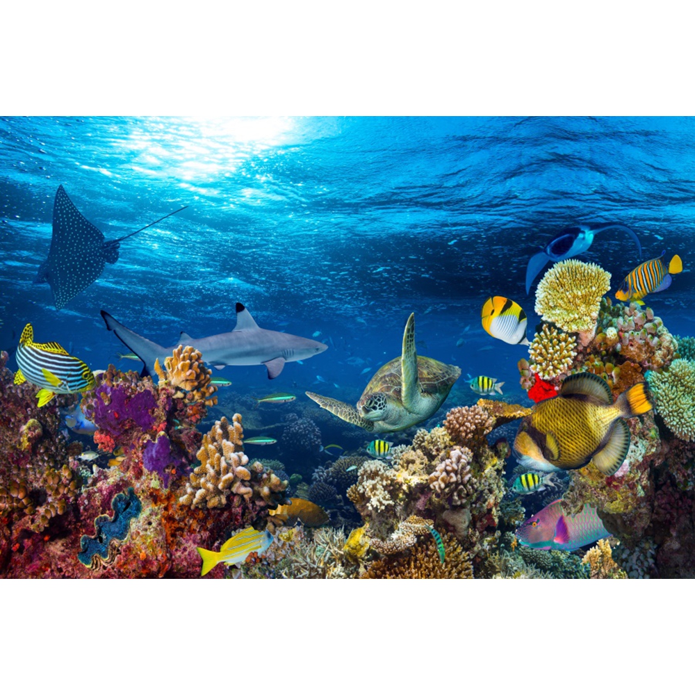 Underwater World Backdrop Unde - Aquarium Marine World recensie en prijs