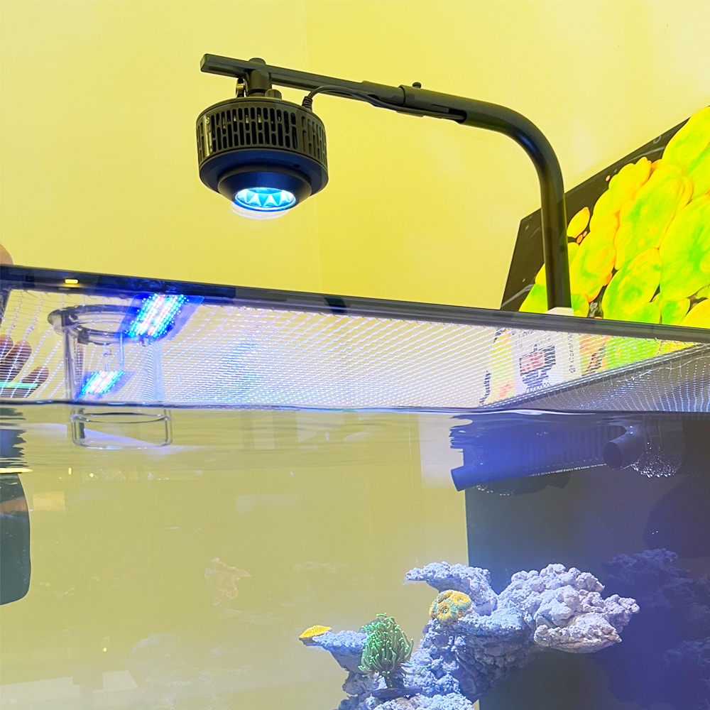 100W WiFi APP Control 6 Channe - Marine Aquarium App recensie en prijs