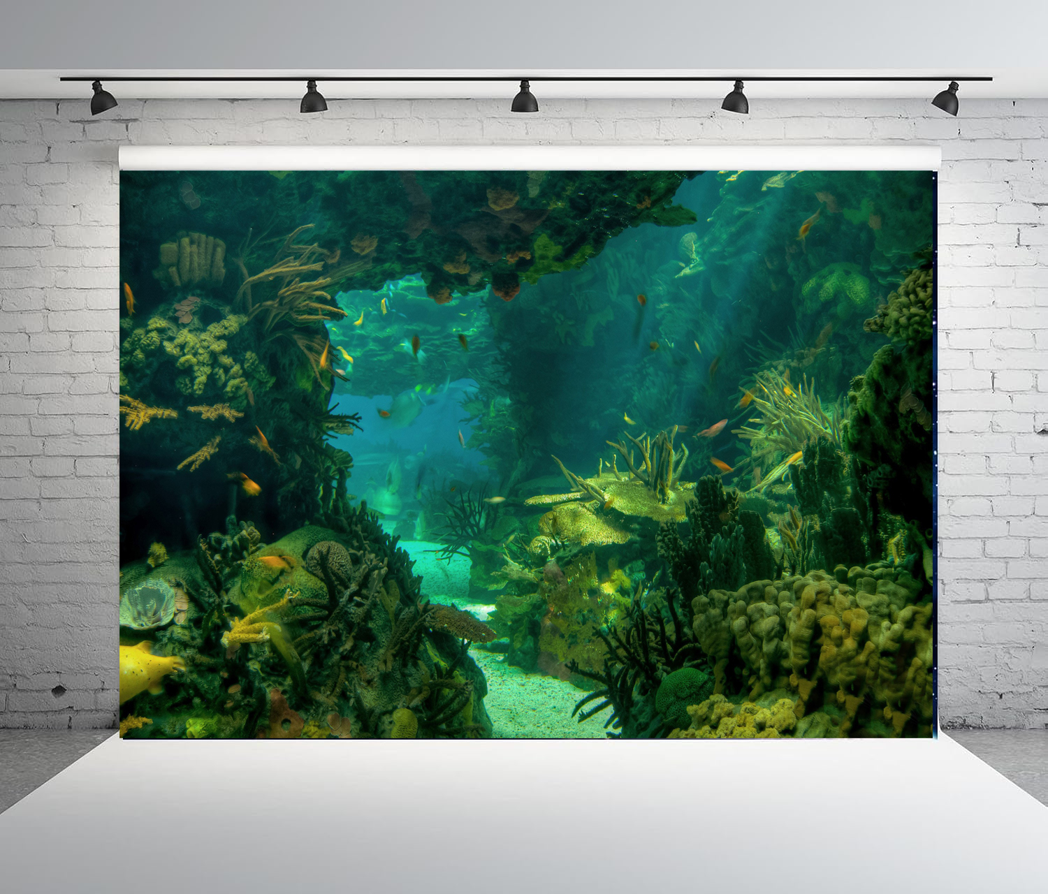 Under Sea Seabed World Photogr - Aquarium Marine World recensie en prijs