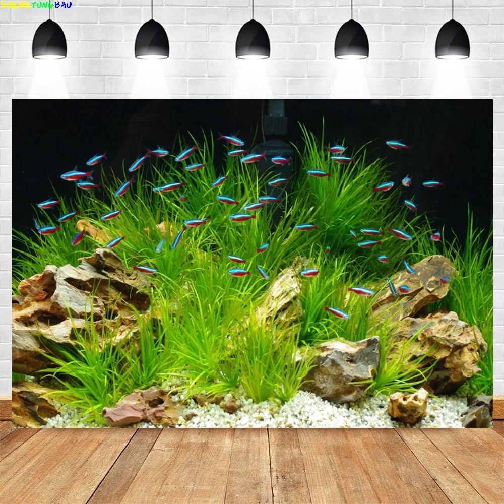 Under Sea Seabed World Photogr - Aquarium Marine World recensie en prijs