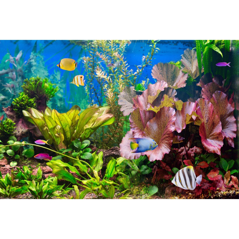 Under Sea Seabed World Photogr - Aquarium Marine World recensie en prijs