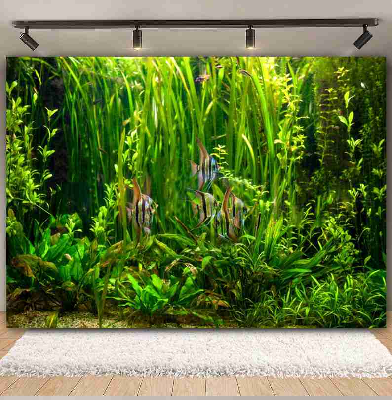 Under Sea Seabed World Photogr - Aquarium Marine World recensie en prijs
