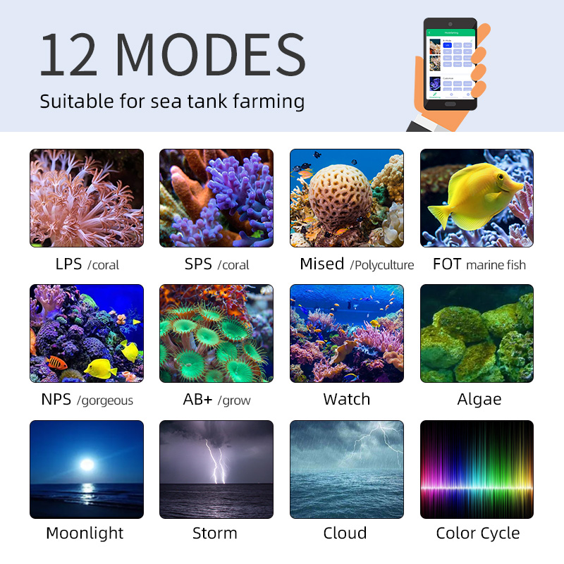 ZXY Hot Sale WEEKAQUA Z250 Z40 - Marine Aquarium App recensie en prijs