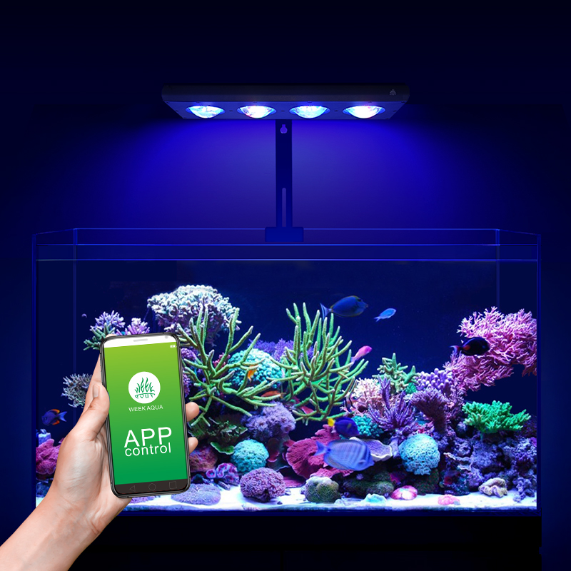 ZXY Hot Sale WEEKAQUA Z250 Z40 - Marine Aquarium App recensie en prijs
