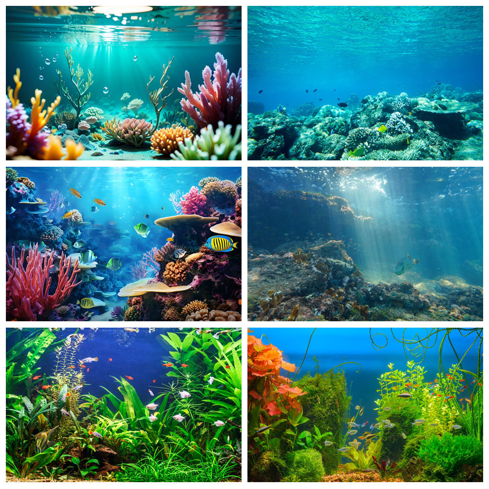 Underwater World Seabed Photog - Aquarium Marine World recensie en prijs