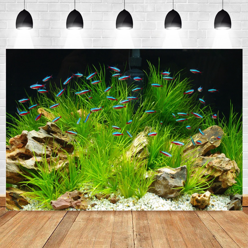 Under Sea Seabed World Photogr - Aquarium Marine World recensie en prijs