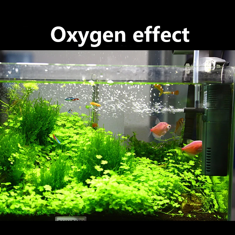 SUNSUN mini nano 111B 311B 611 - Marine Aquarium Uv Light recensie en prijs